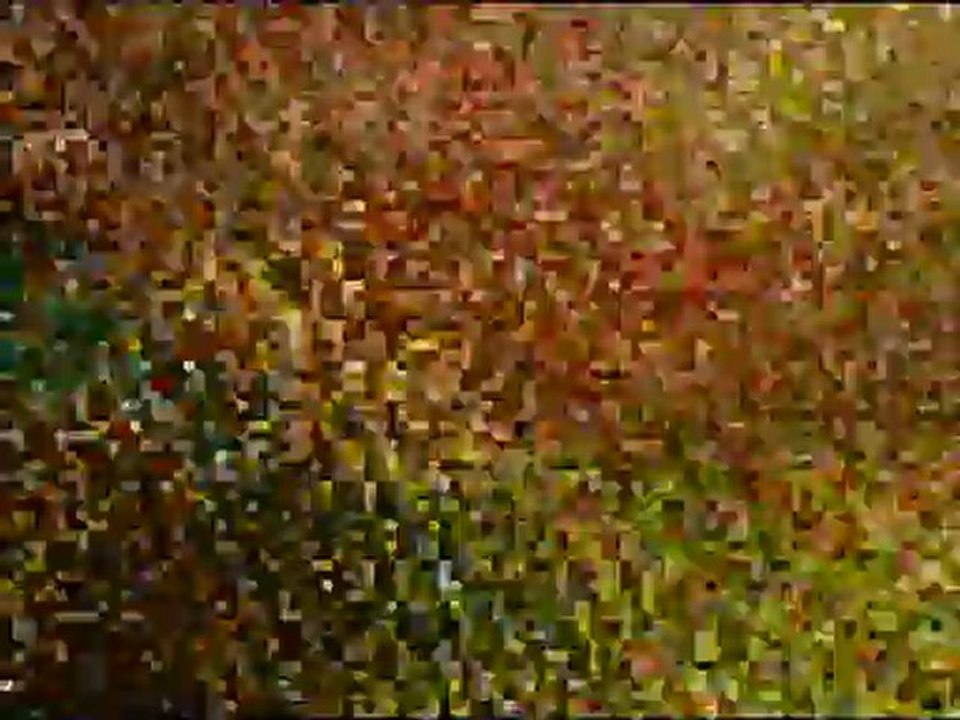 La vie n'a pas de prix - Février 2009 - Expression Directe CFTC