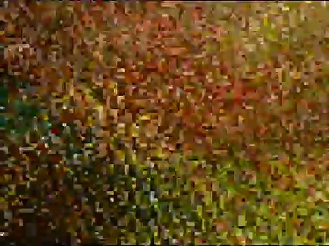 La vie n'a pas de prix - Février 2009 - Expression Directe CFTC