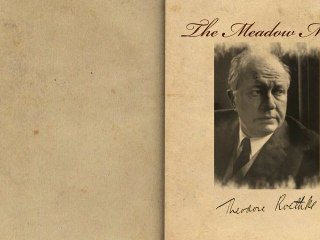 The Meadow Mouse by Theodore Roethke – Poetry Reading