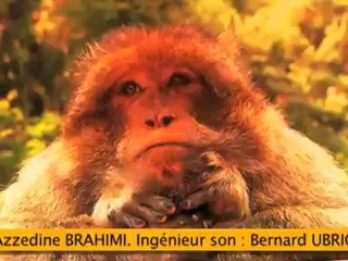 Un été chez nous - ep10