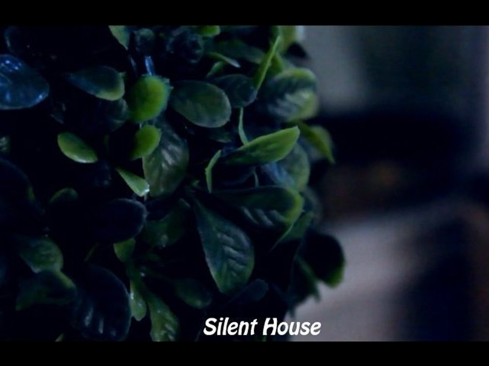 Silent House