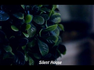 Silent House