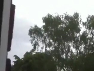 magpie headshot from over 90 yards plus clean kill AIR RIFLE