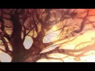 Bu Kalp Seni Unuturmu