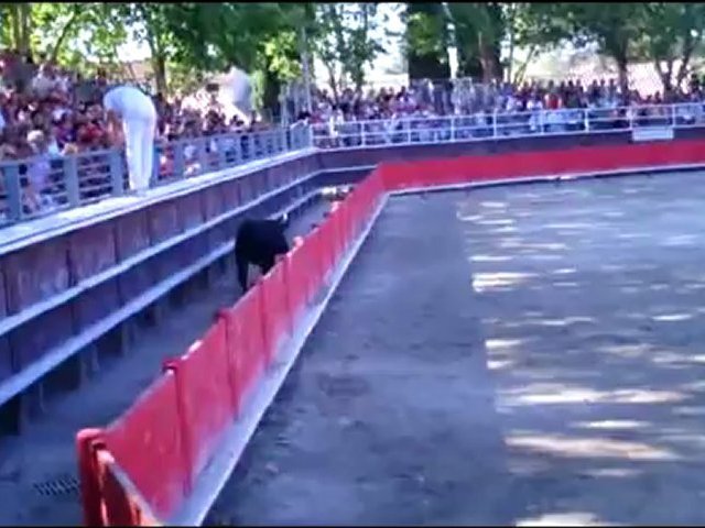 encierro abrivado bandido