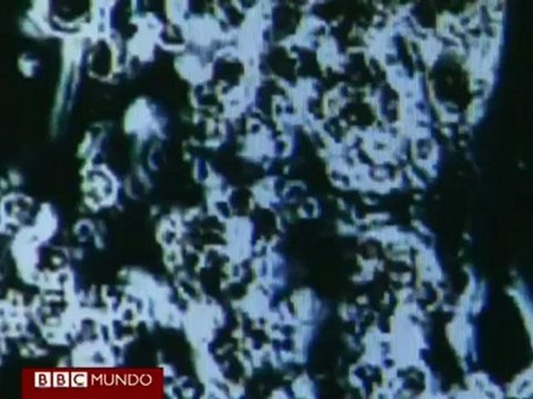 Científicos crean un espray eléctrico que repara corazones