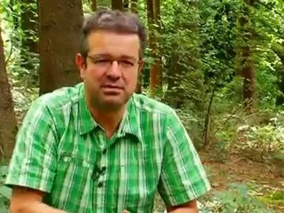 Alemania, de excursi?n | Europa semanal