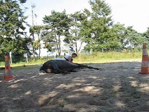 couché allongé assis en ebauche 07.12