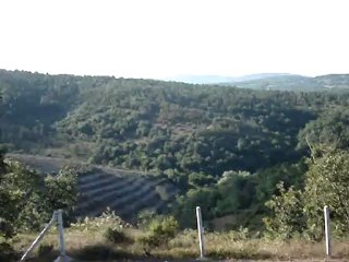 SATILIK ARAZİ TARLA