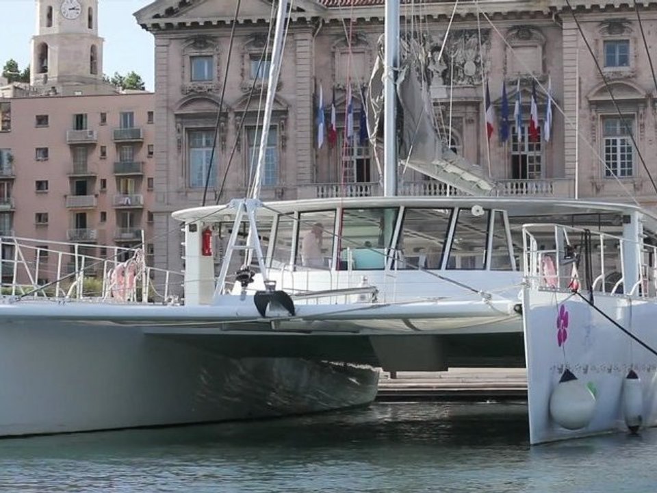 MISTER JINGLE - ECOLORATO MIX