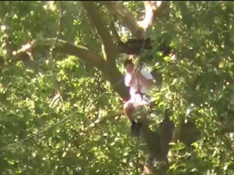 reprise accrobranche