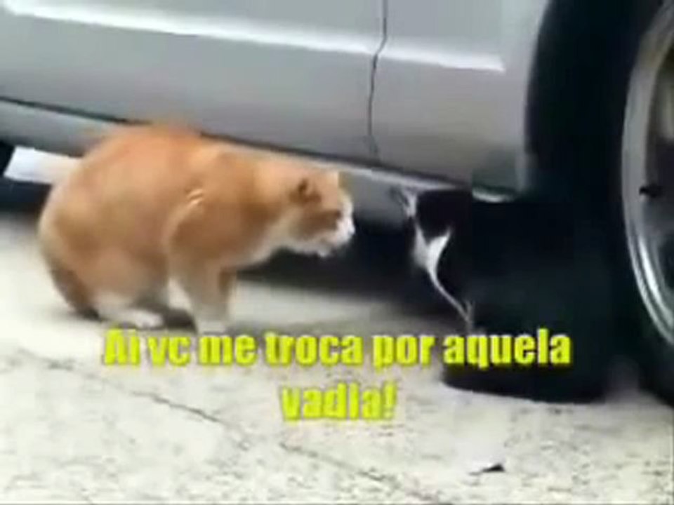 http   www.youtube.c...