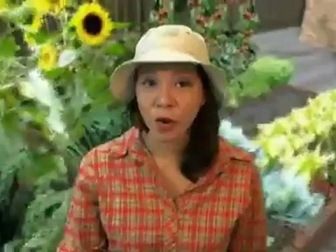 Birdbath Auto Refill Bird Bath w/Base Review