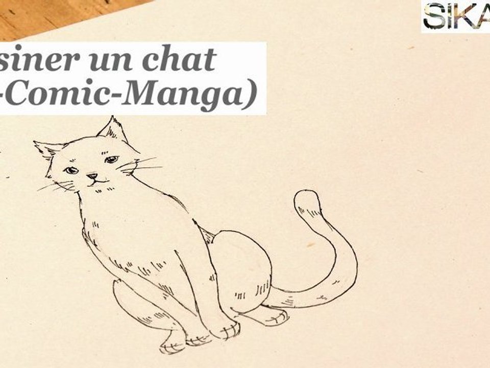 Comment dessiner un chat ? - HD