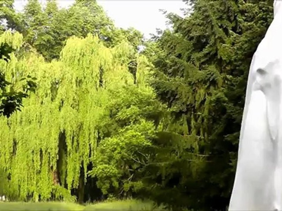 Apichatpong Weerasethakul - The importance of Telepathy - dOCUMENTA (13)