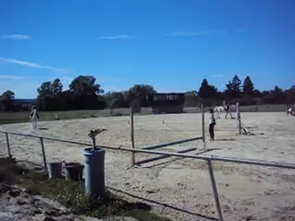 Cours de saut d'obstacle avec Ninja Du Bruch 2