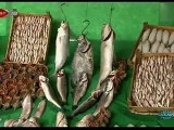 Balık Ankara'da Yenir-İstavrit balığı ve balık takvimi