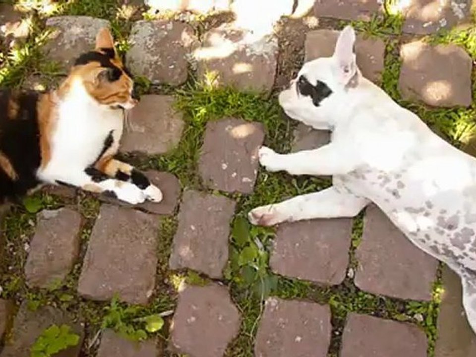 Colette et Olga en paix ds le jardin 1-8-2012