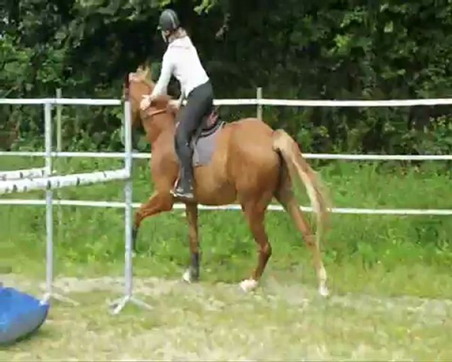 Essaies de chevaux le 31 juillet