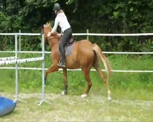 Essaies de chevaux le 31 juillet