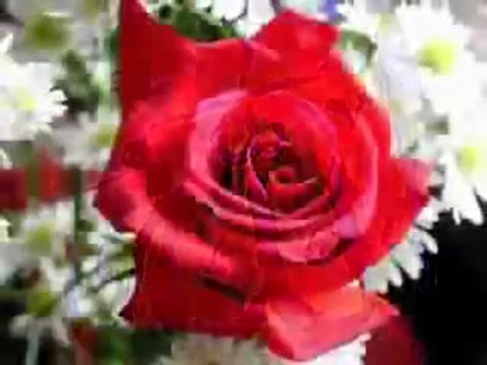 Binlerce salat ve  selam