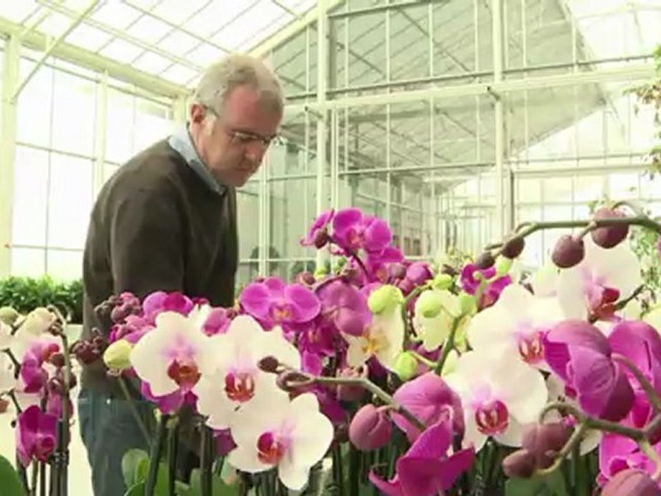 French landscaping employers short of labour