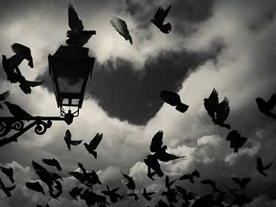 Yavu   BİNGÖL        "İZ   KALIR "  (OY  GÜLÜM)