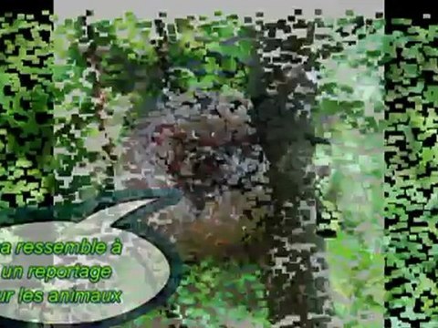 Production de l'atelier Terre de Flandre