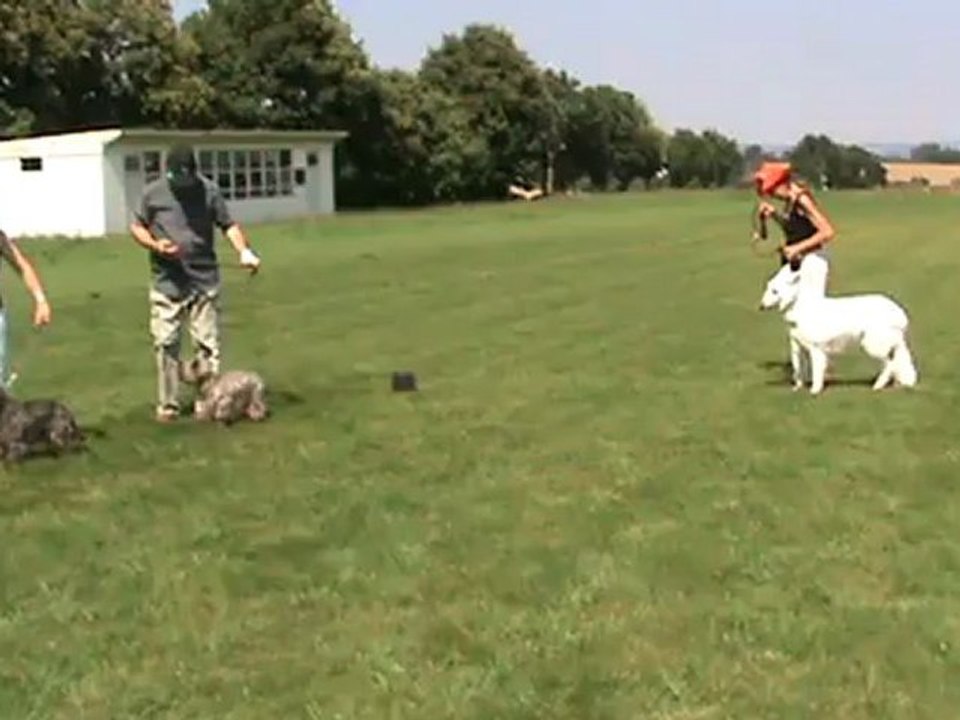 EDUCATION 25.07.12 (3)
