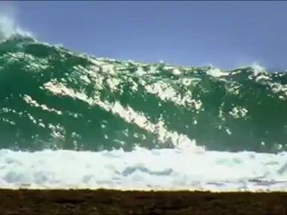 SURF by SJ -  It's in our blood