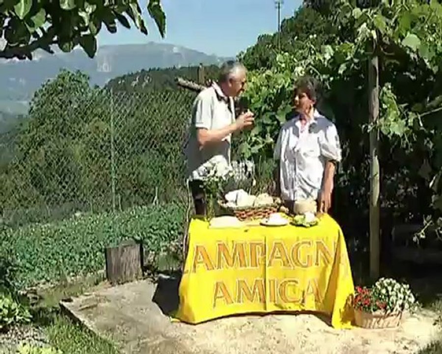 A COME ALPI  (10)