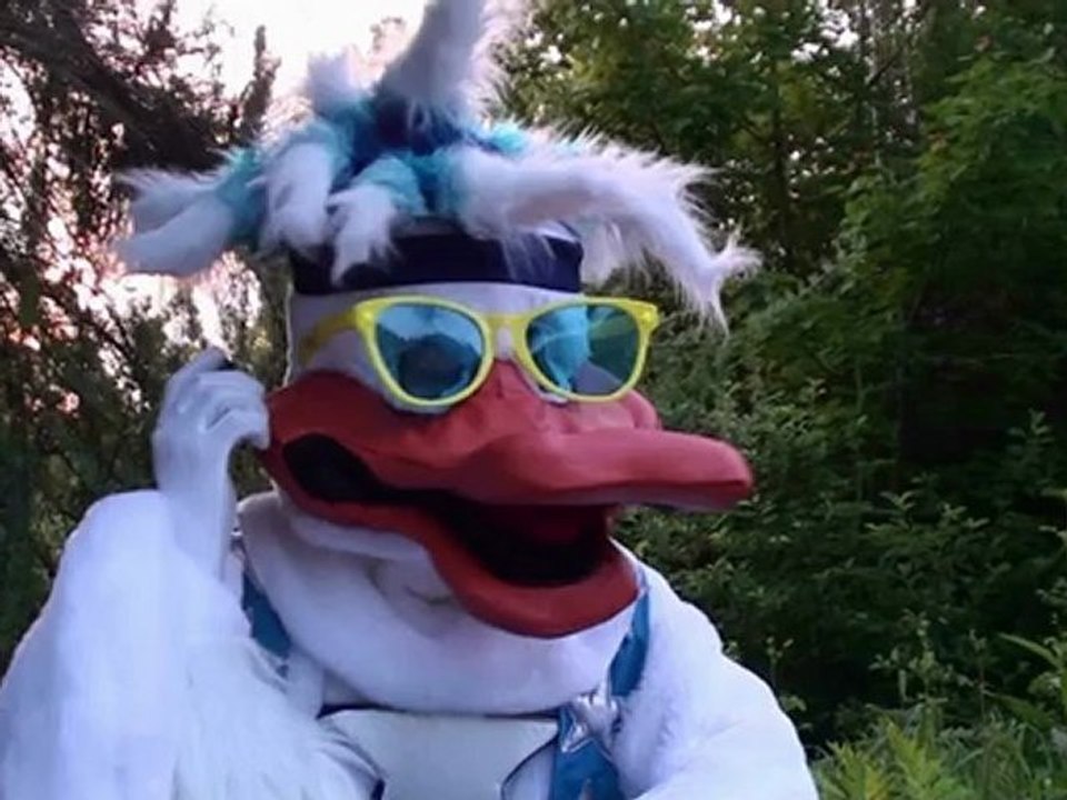 starduckanimation