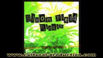 REGGAE DANCEHALL Riddims Mix Culture Vibes [CULTURAL PROD] August 2012