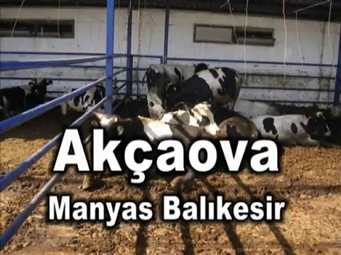 manyas-akçaova-deyidin-köyü-tarımsalkanlınmakooperatifi-keşiftv-türkiyemtv