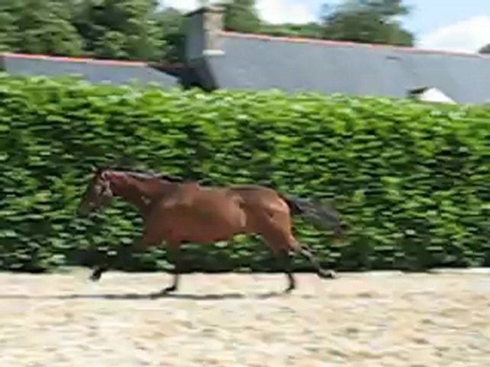 Valse 2