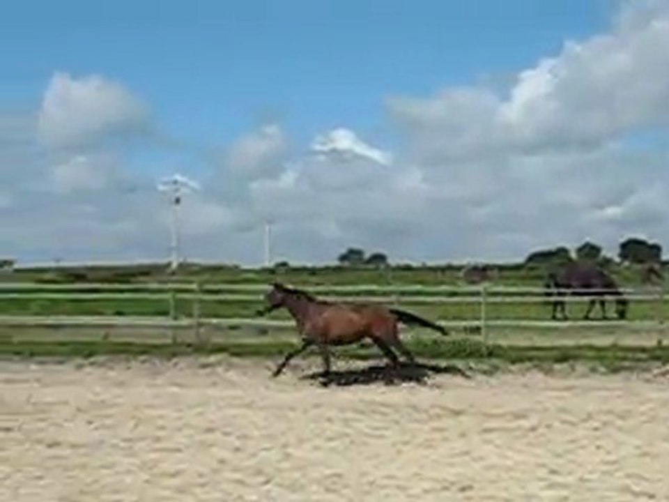 Valse 5