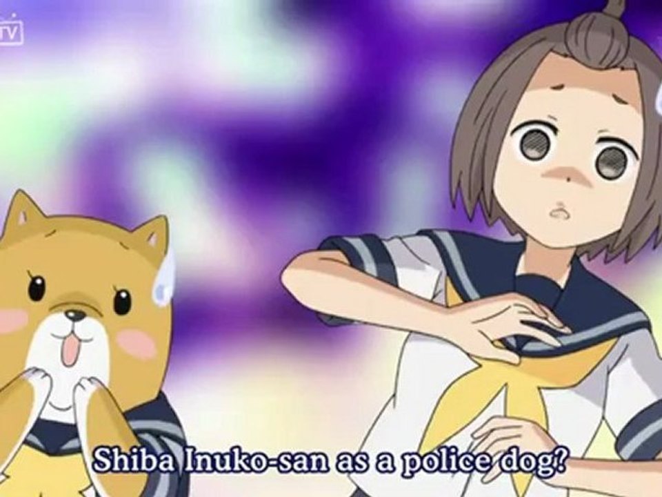 shib18