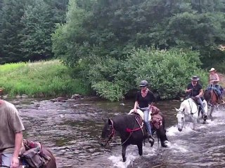 Balade à cheval à Chenereilles (Tence 43)