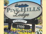 Pine Hills Lodge Apartments in Las Vegas, NV - ForRent.com