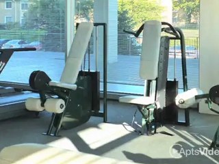 Lafayette Towers Apartments in Detroit, MI - ForRent.com