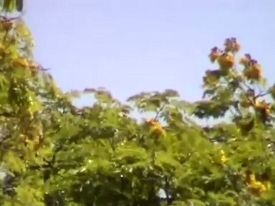 ufo.2012