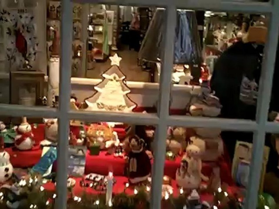 Window Shopping In An Outdoor Mall - Terrance talks about the Shopping area In Williamsburg. - Business.