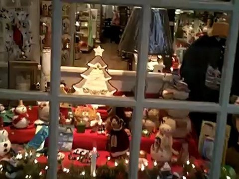 Window Shopping In An Outdoor Mall - Terrance talks about the Shopping area In Williamsburg. - Business.