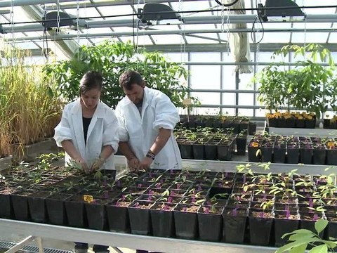 [FR] Cloud computing : le CIRAD choisit Flexible Computing Express