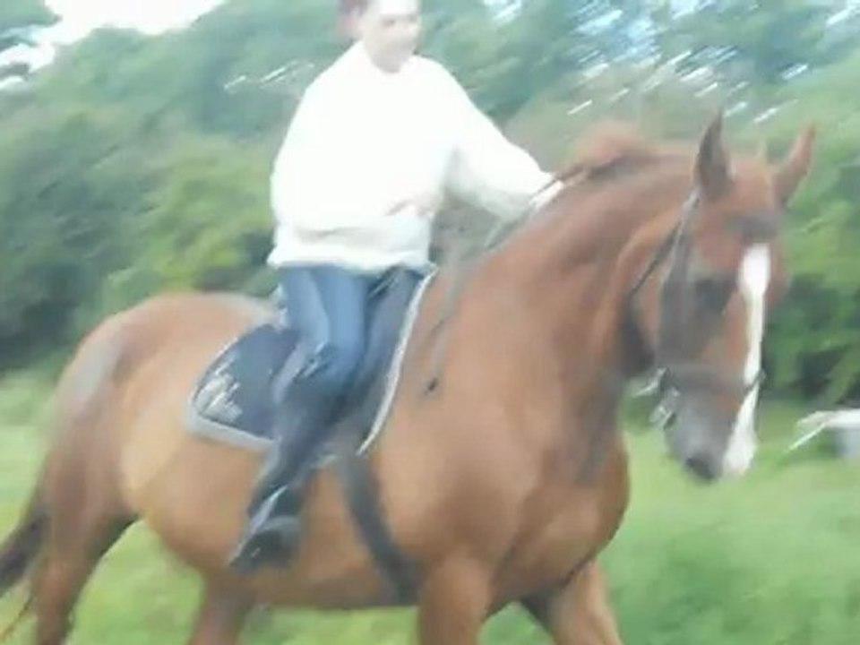 moi à cheval 1ere