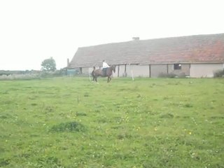 moi  à cheval la suite