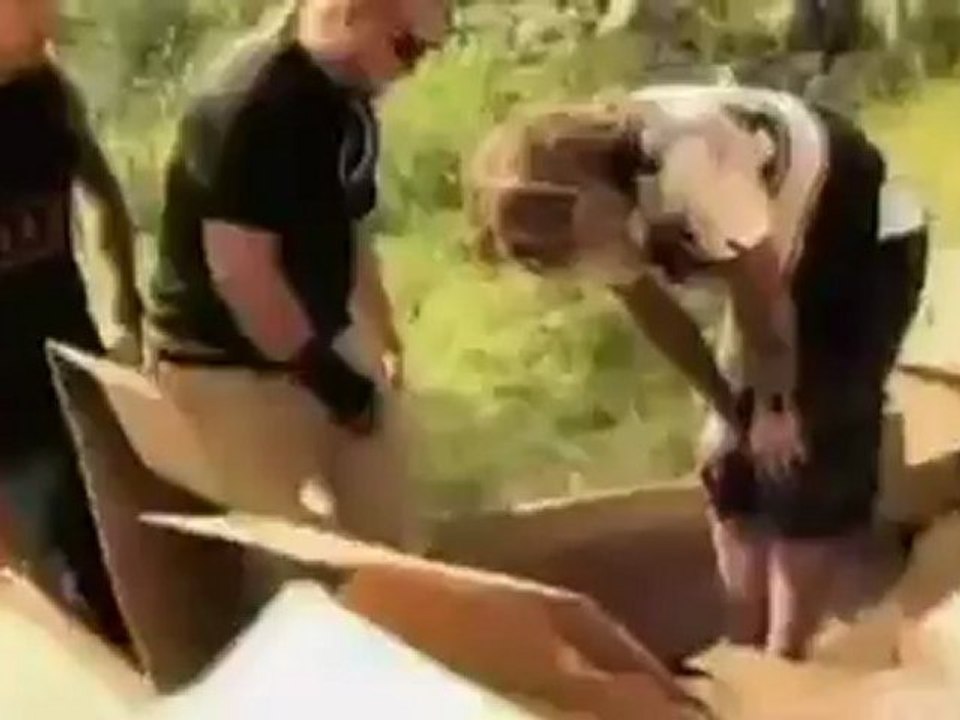 The Dudesons saison 2 épisode 3 partie 1