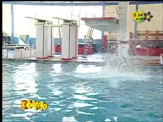 Estrellita en la prueba de los clavados