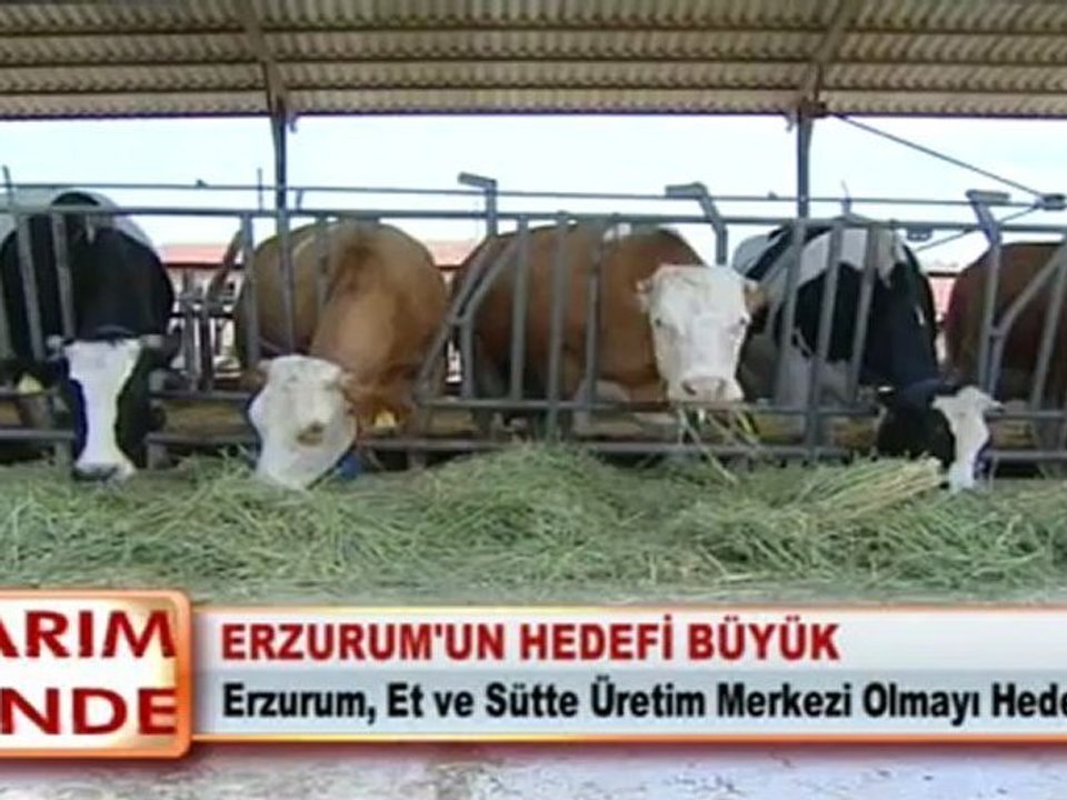 ERZURUM’UN HEDEFİ BÜYÜK