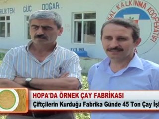 HOPA’DA ÖRNEK ÇAY FABRİKASI